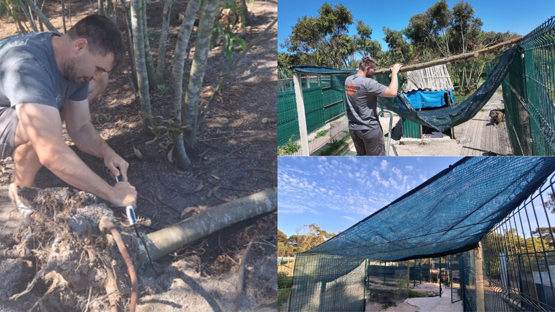 Freiwilligenarbeit im Tierheim Mayday Algarve in Portugal. Bau neuer Schattenplätze für gerettete Hunde zum Schutz vor der Sonne an der Algarve.