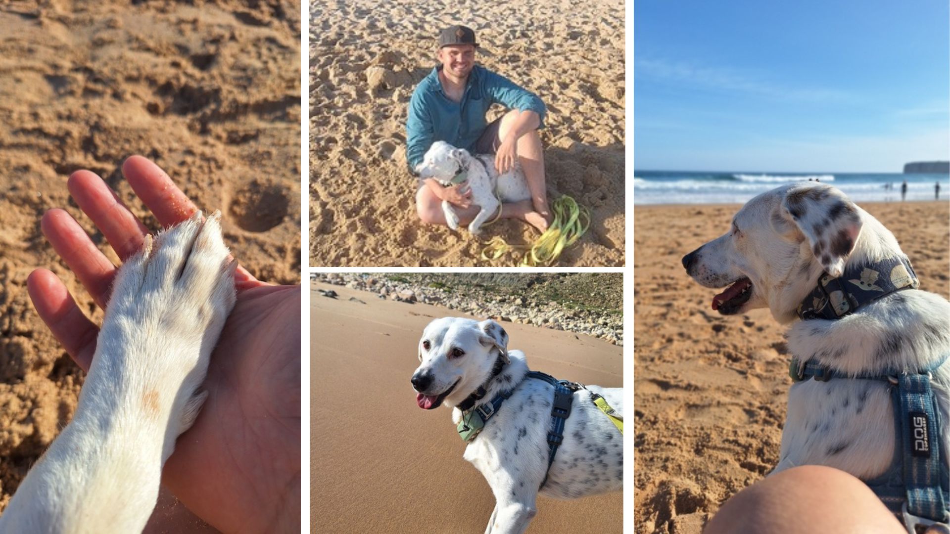 Maya genießt trotz ihrer Leishmaniose das Leben am Strand in Portugal – gemeinsame Momente voller Hoffnung und Vertrauen.