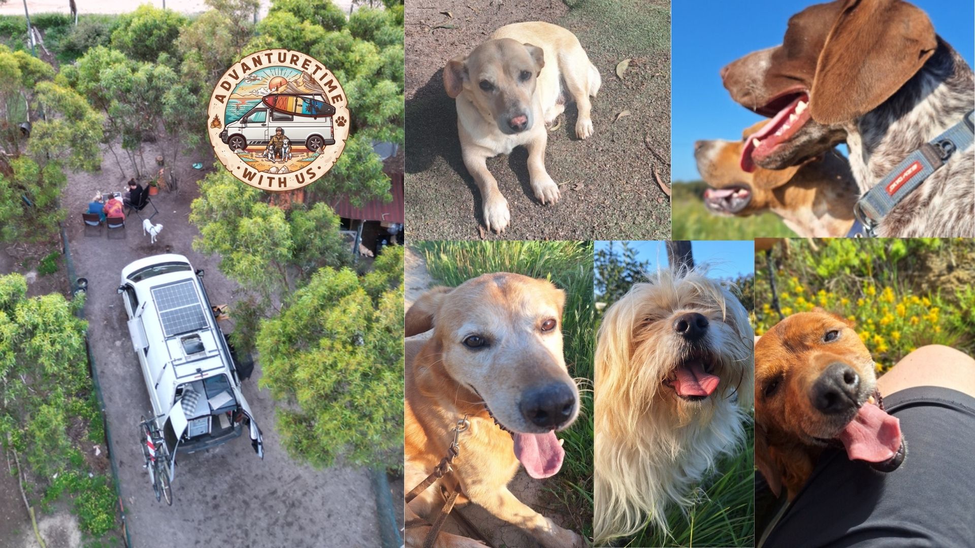 Vanlife mit Hund in Europa: Chris von adVANturetimewithus reist mit seinen Hunden Mia und Maya im VW T5 Camper durch Europa und unterstützt Tierschutzprojekte. Collage mit geretteten Hunden, Shelter-Hunden, Roadtrip-Abenteuern, Reisen mit Hund und Vanlife im Campervan.