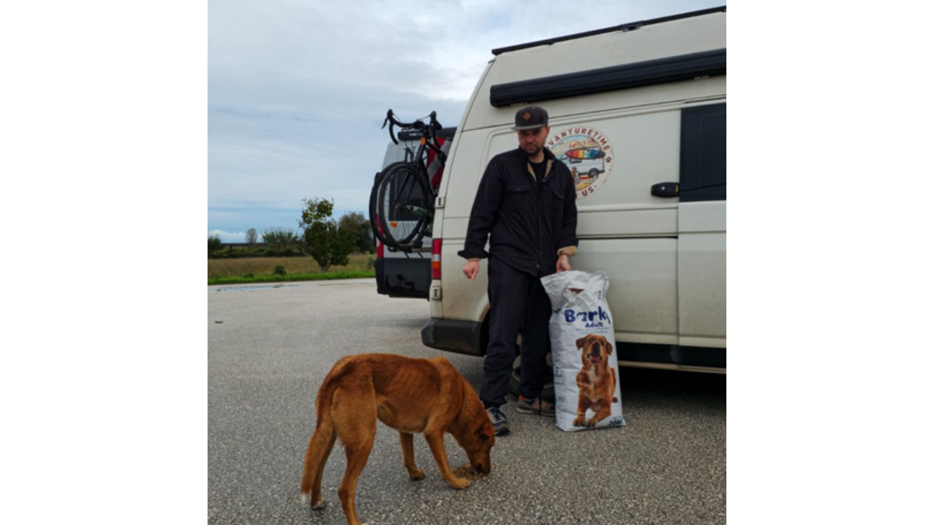 Futterspende für einen Straßenhund auf Reisen mit dem Camper durch Europa