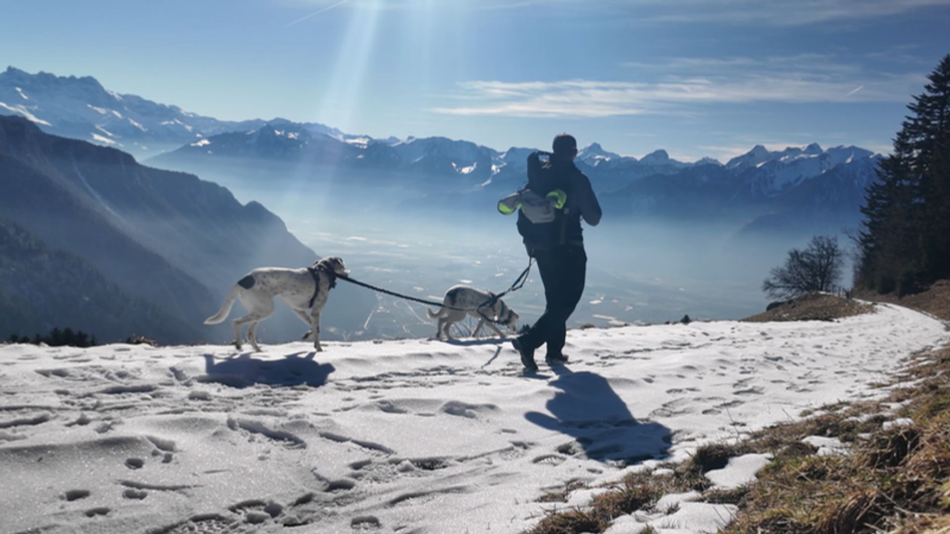 Winterwandern mit zwei Hunden in der Schweiz – unterwegs in den verschneiten Schweizer Alpen