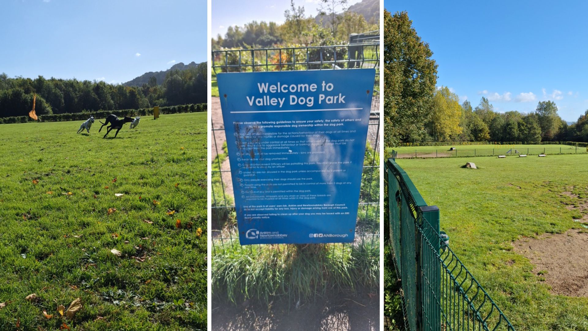 Eingezäunte Hundewiese als Vorbereitung vor einem Stadtbesuch – Mia und Maya können sich austoben, bevor sie im Camper entspannen. Eingezäunte Hundewiese als Vorbereitung vor einem Stadtbesuch – Mia und Maya können sich austoben, bevor sie im Camper entspannen.