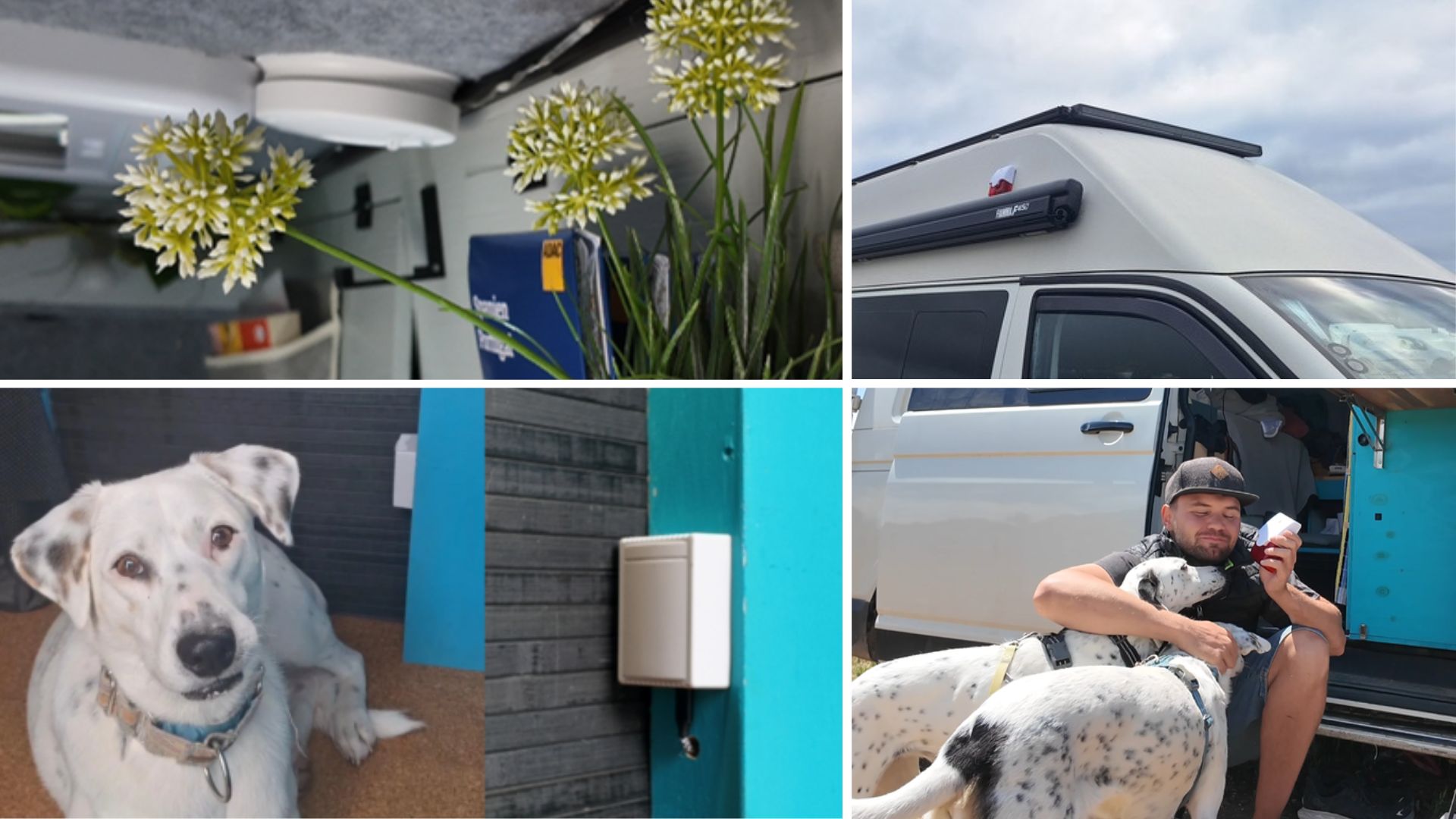Sicherheitskonzept im Camper mit Hund: Rauchmelder, Außensirene, Türkontakt, QR-Sticker und weitere Sicherheitsmaßnahmen für Mia, Maya und VW T5 Pepe.