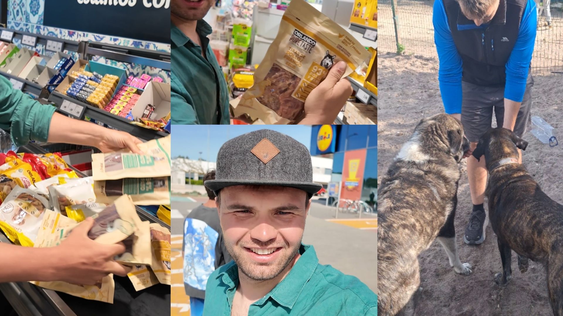 Einkauf von Hundeleckerlis und Versorgung für die Hunde von Mayday Algarve in Portugal. Unterstützung des Tierheims durch Spenden, Freiwilligenarbeit und tägliche Betreuung der Shelter-Hunde.