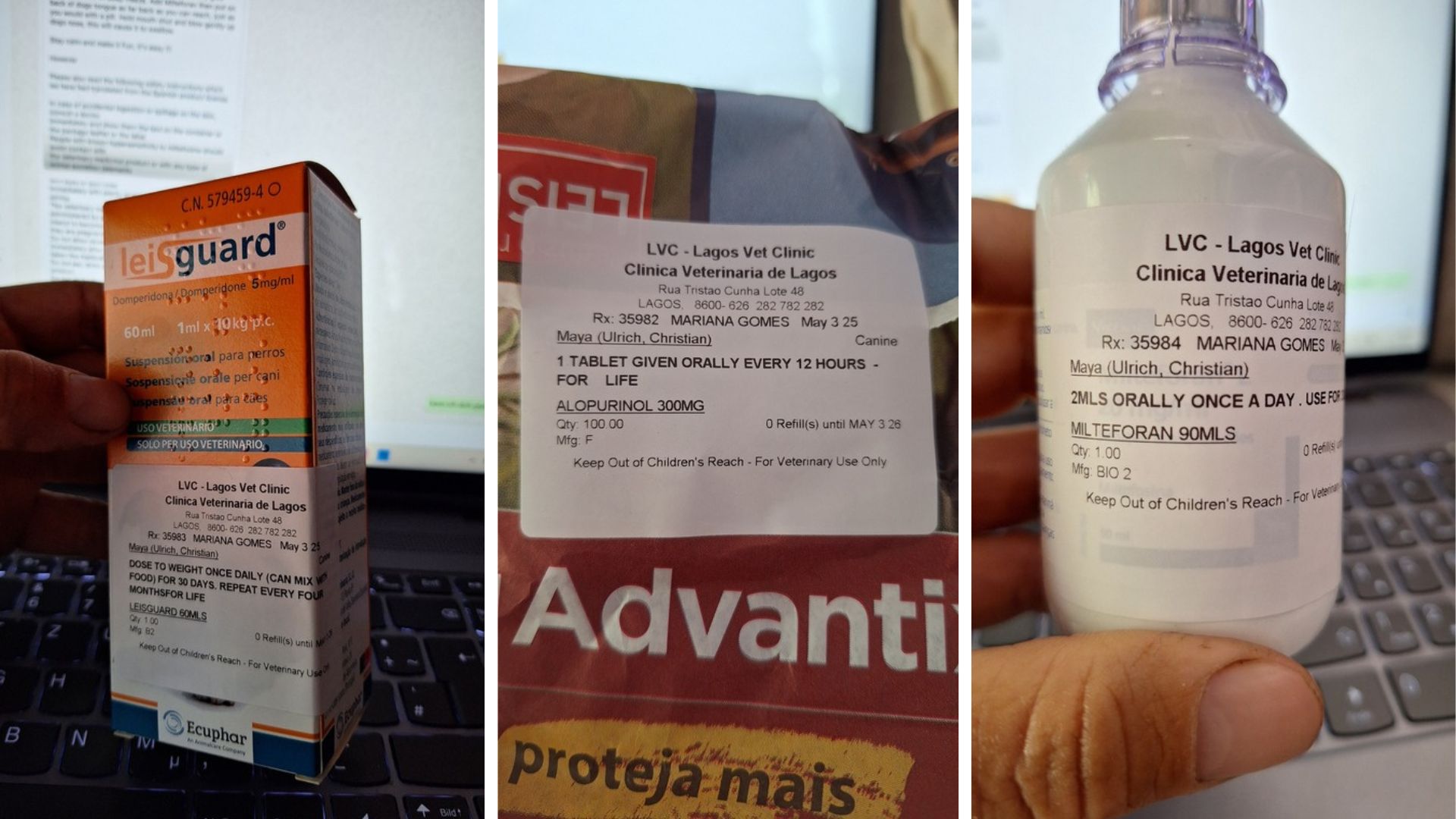 Medikamente zur Behandlung von Mayas Leishmaniose – Leisguard, Allopurinol und Milteforan nach der Diagnose in Portugal