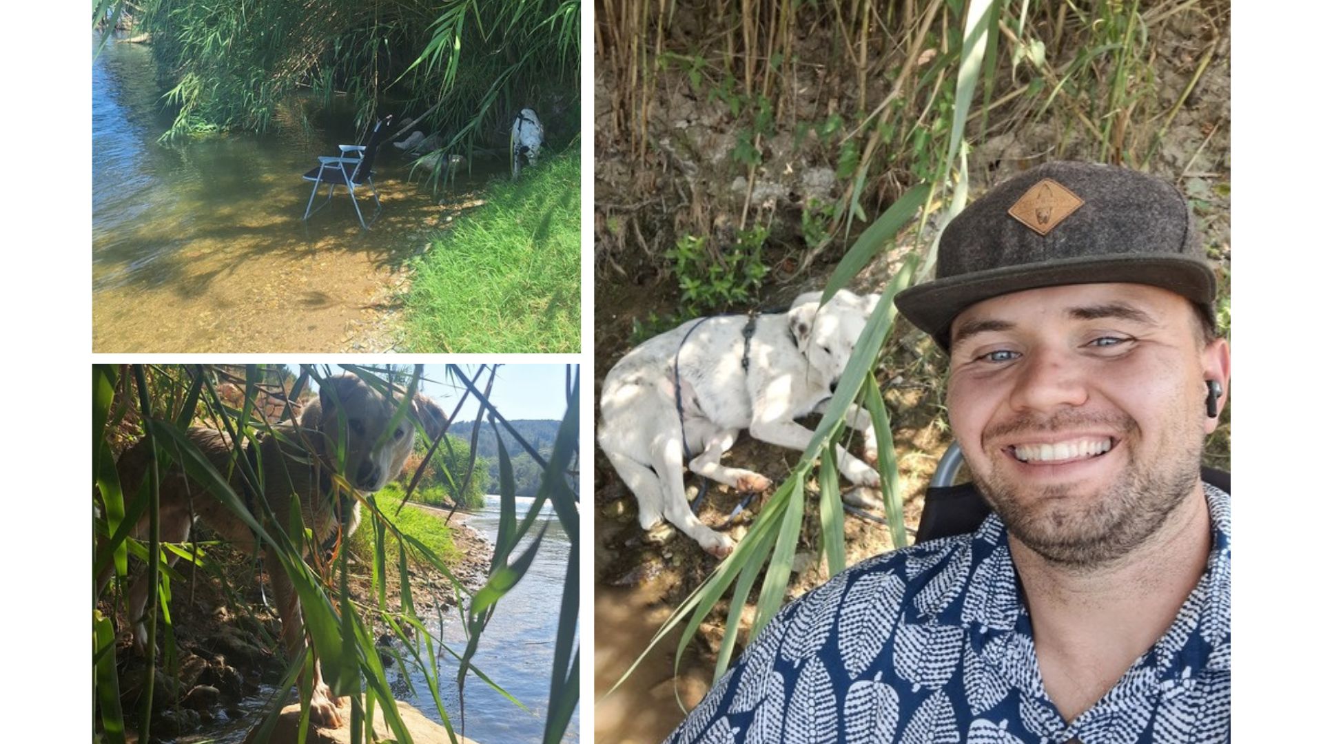 Natürlicher Schattenplatz am Wasser hilft Mia und Maya, sich an heißen Tagen abzukühlen – ein wichtiger Teil meines Vanlife-Alltags mit Hund. Natürlicher Schattenplatz am Wasser hilft Mia und Maya, sich an heißen Tagen abzukühlen – ein wichtiger Teil meines Vanlife-Alltags mit Hund.