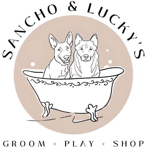 Dog Grooming Laguna Niguel