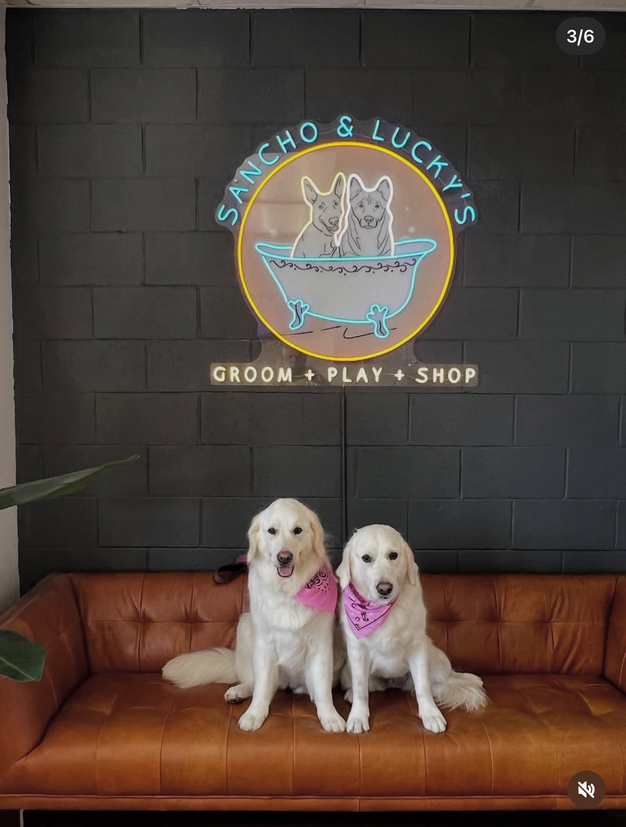 Teeth Brushing Laguna Niguel