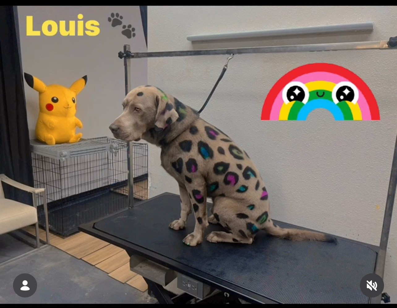 Ear Cleaning Laguna Niguel