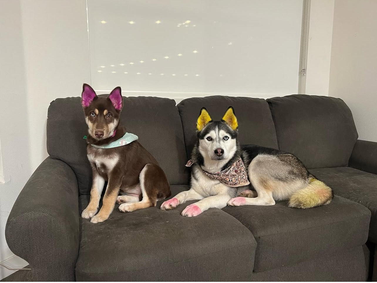 Sanitary Trim Laguna Niguel