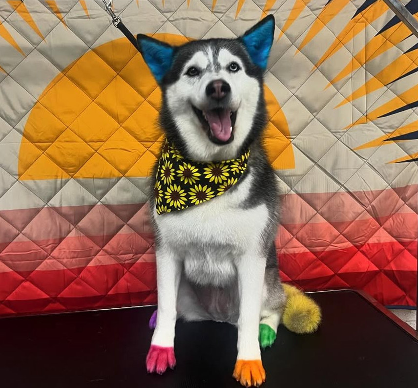 De-Matt Laguna Niguel