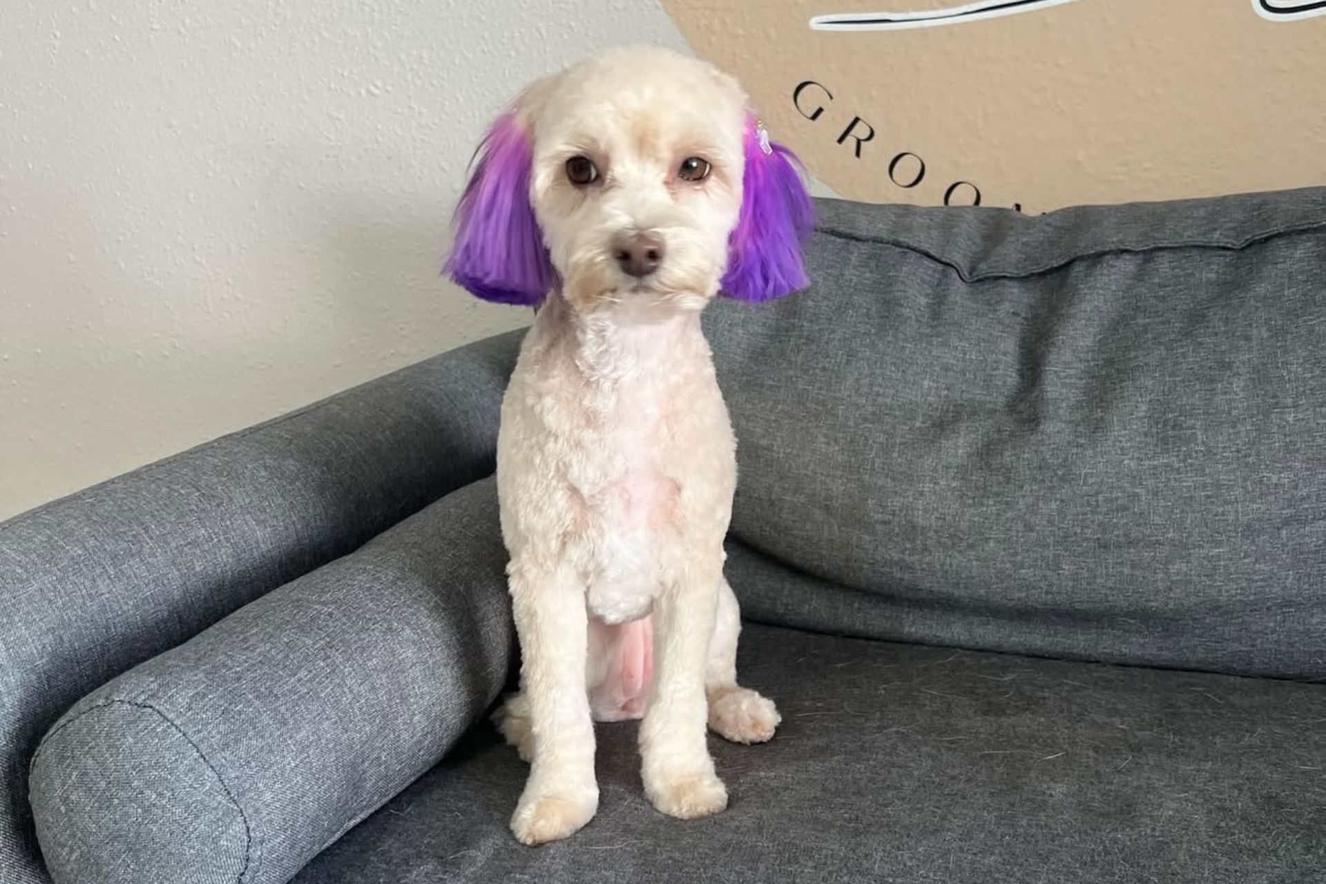 Sanitary Trim Laguna Niguel