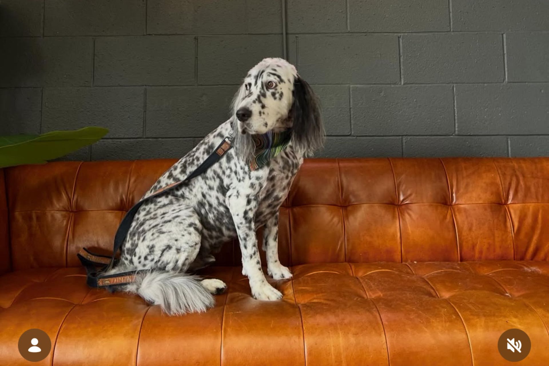 {{ custom_values.service_1 }} in {{custom_values.biz_area_1})