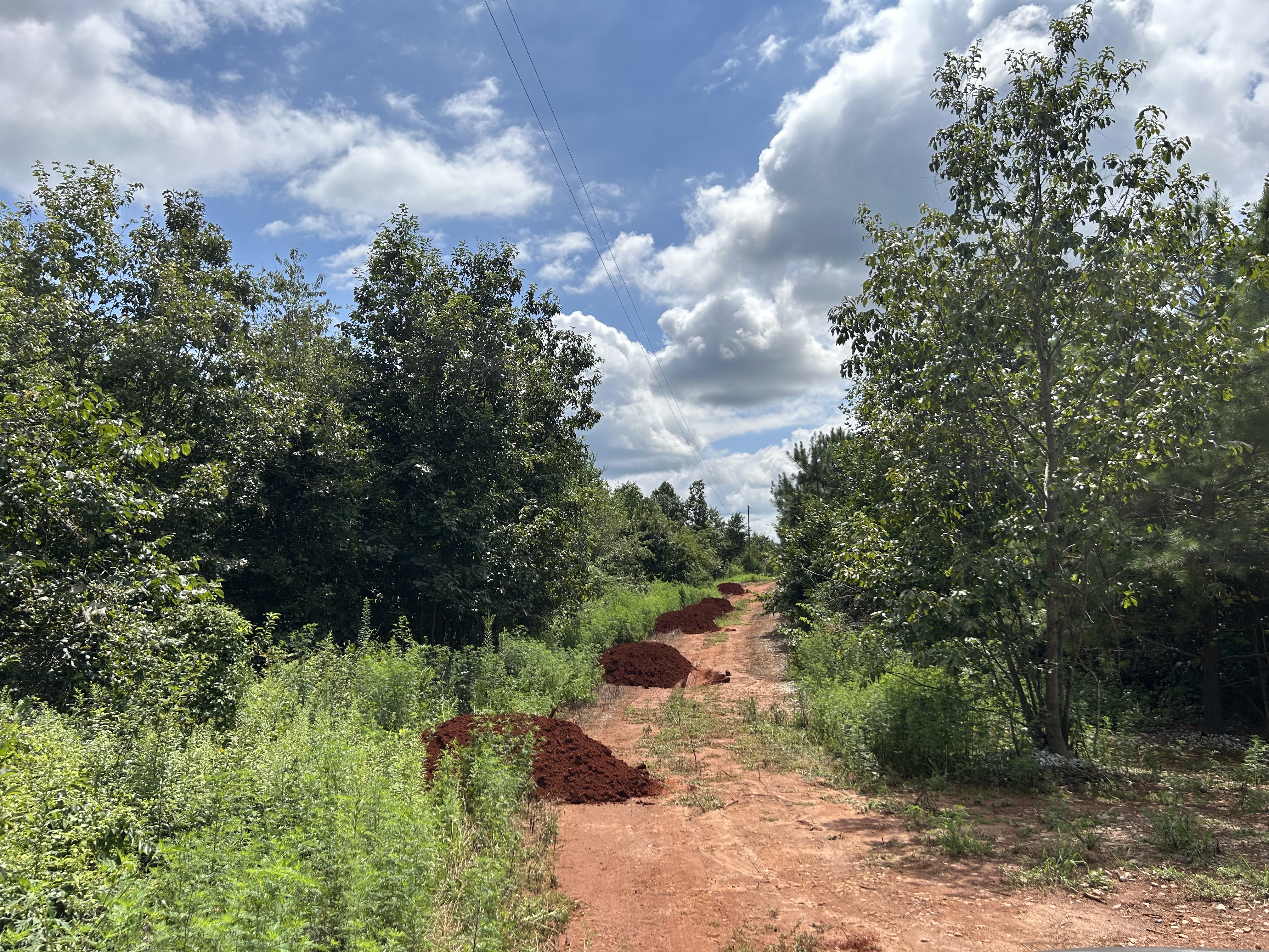 Access road cut into a wooded home site