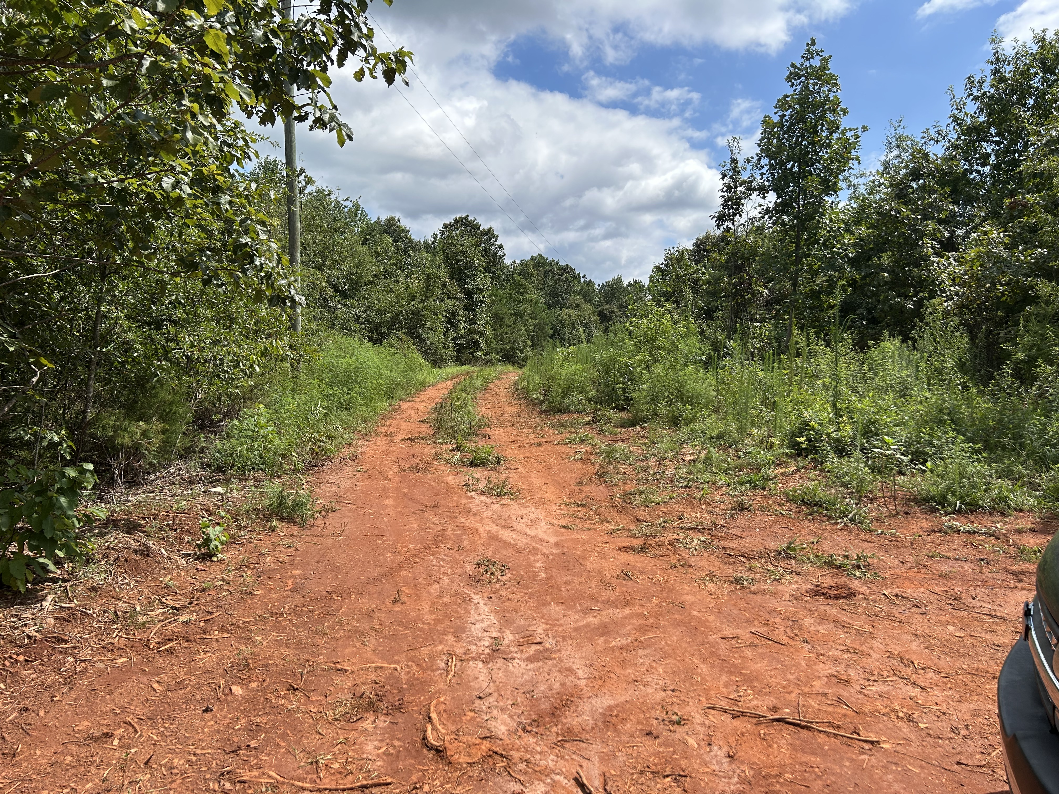 Home site access road cleared