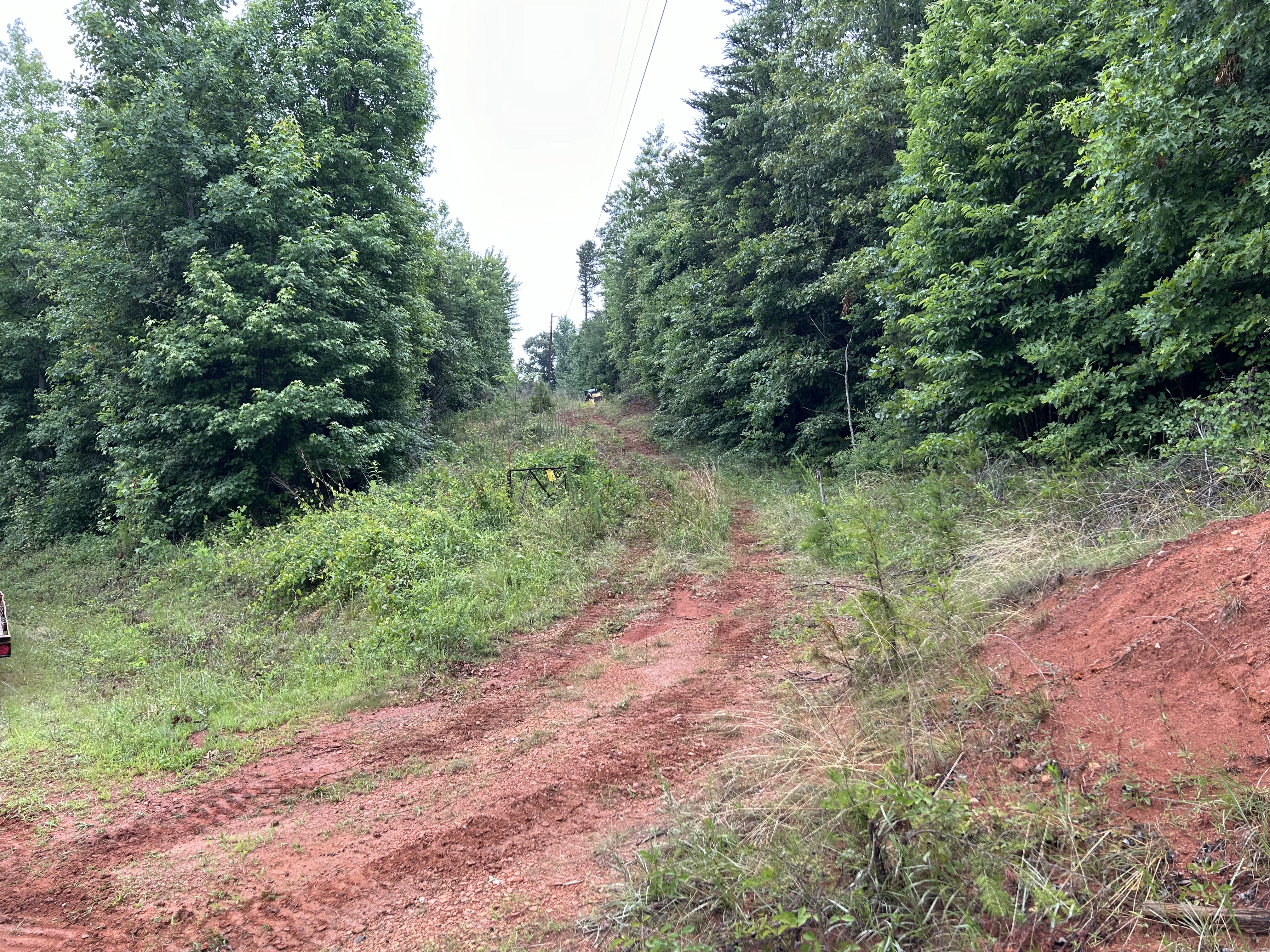 Rutted driveway before repair