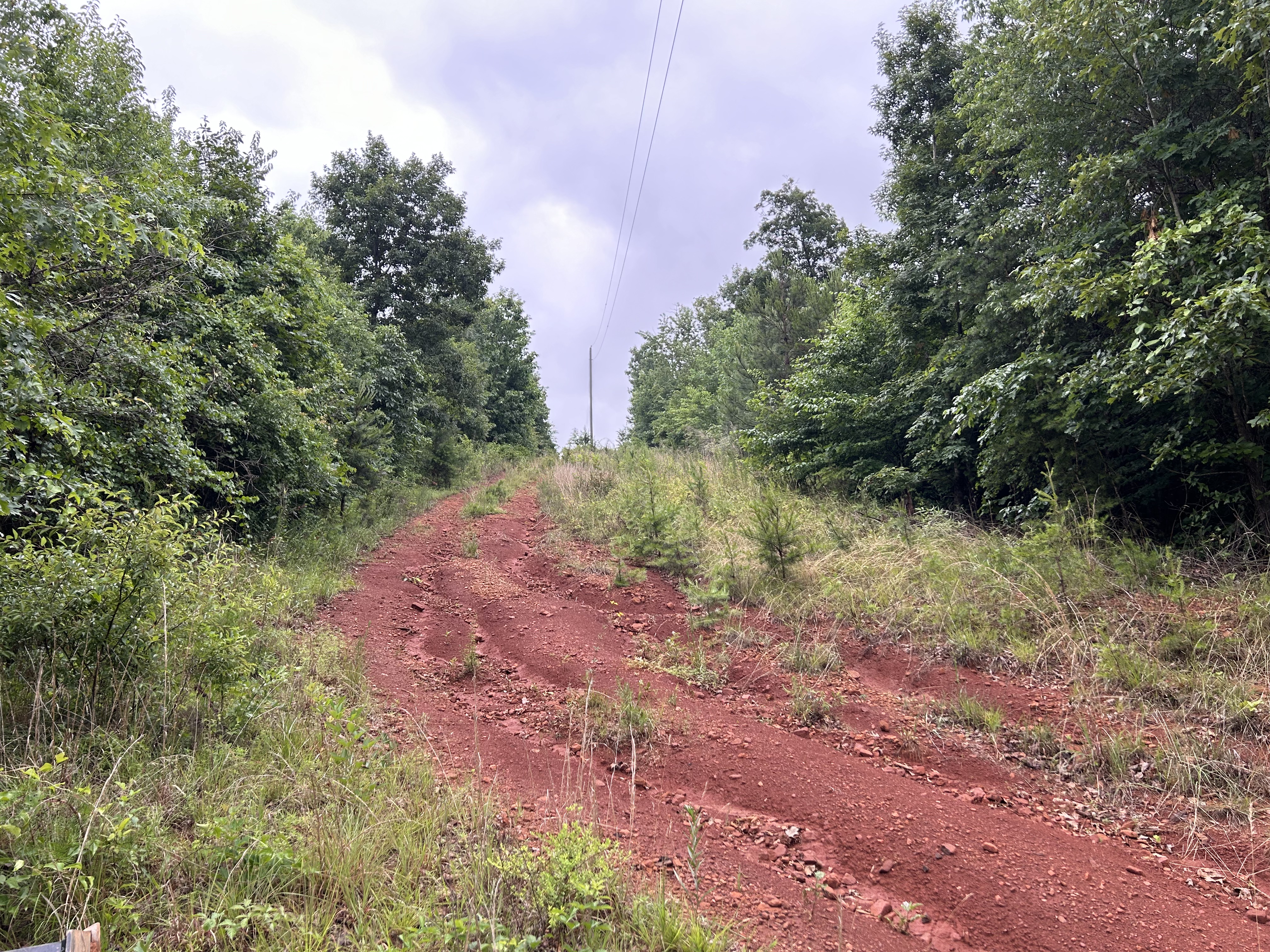 Rutted driveway before repair