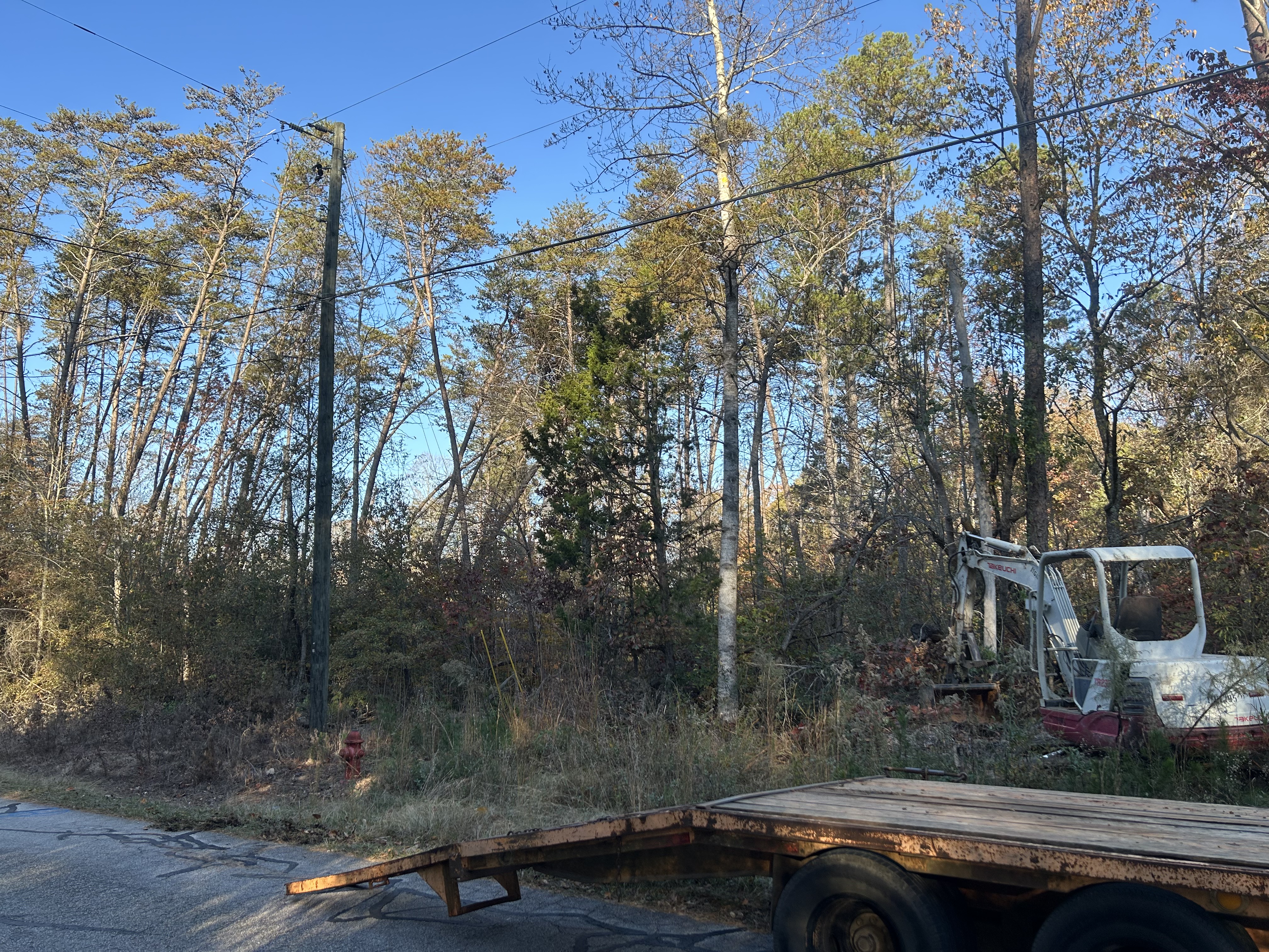 Land clearing mini excavator start