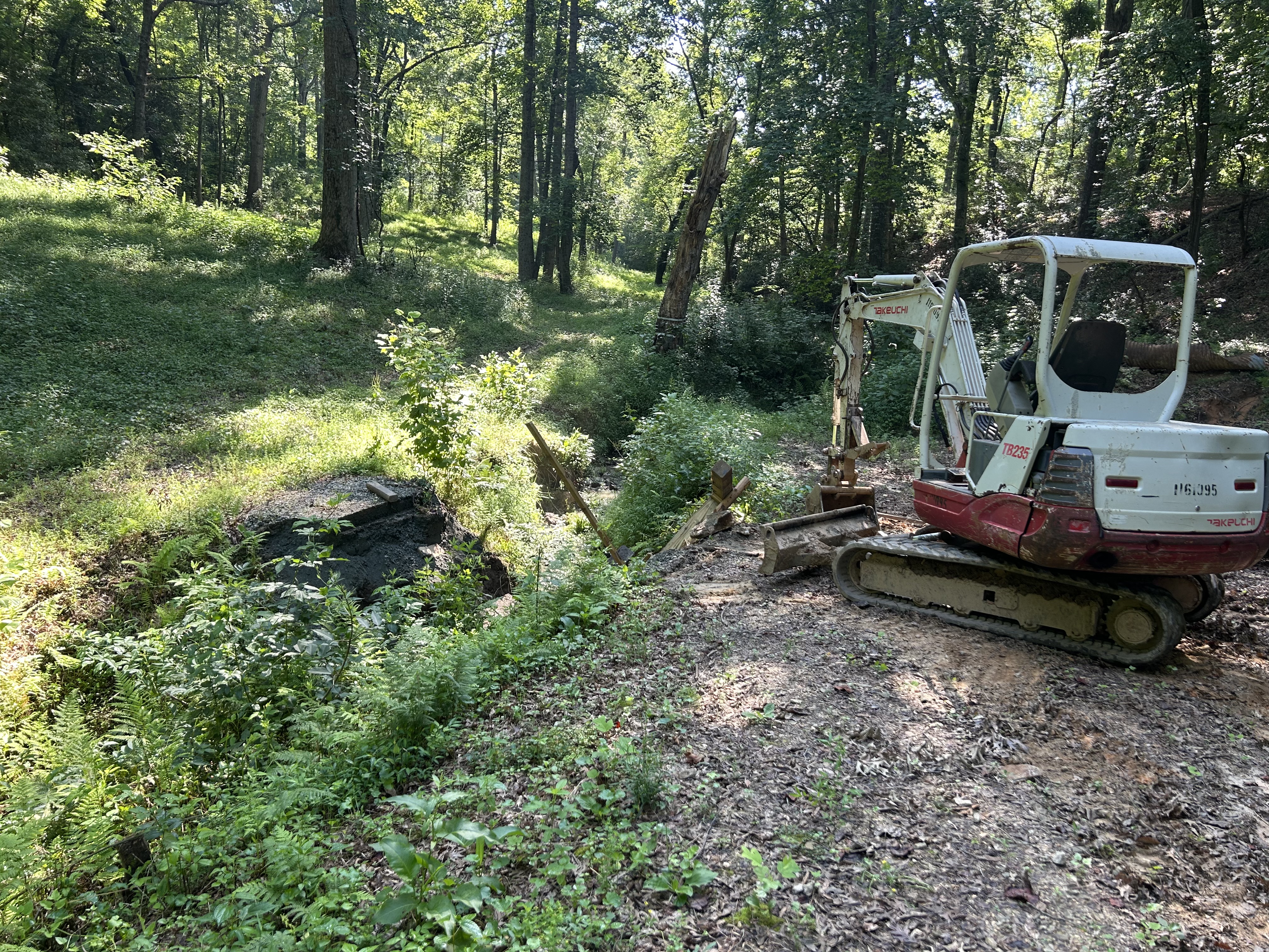 Mini excavator clearing brush along a creek