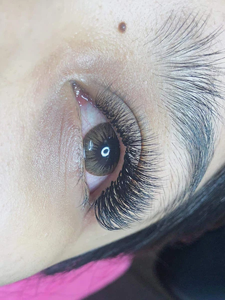 Relaxing salon atmosphere at Bluesky Palm Harbor