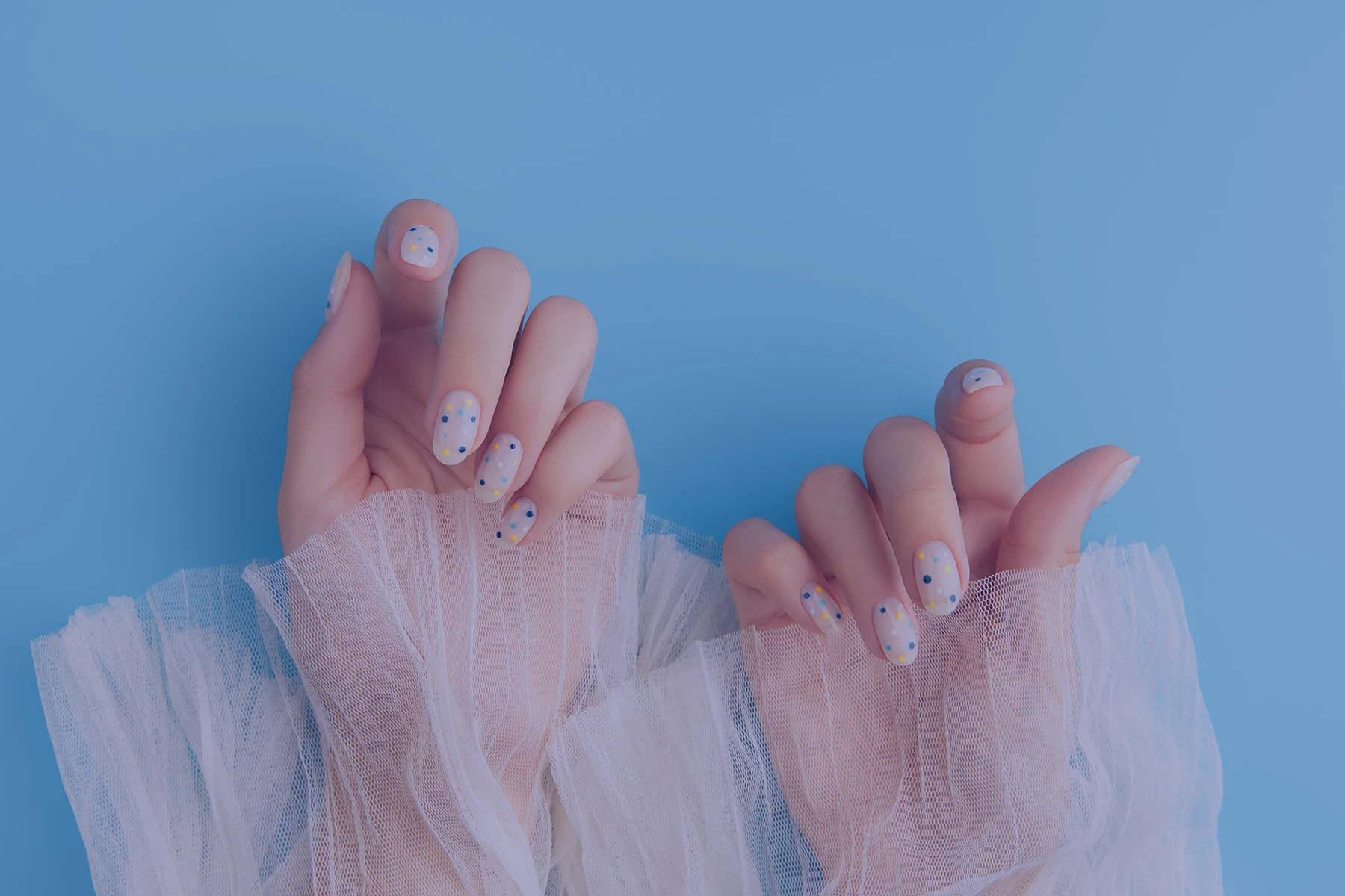 Manicure and nail art in Palm Harbor