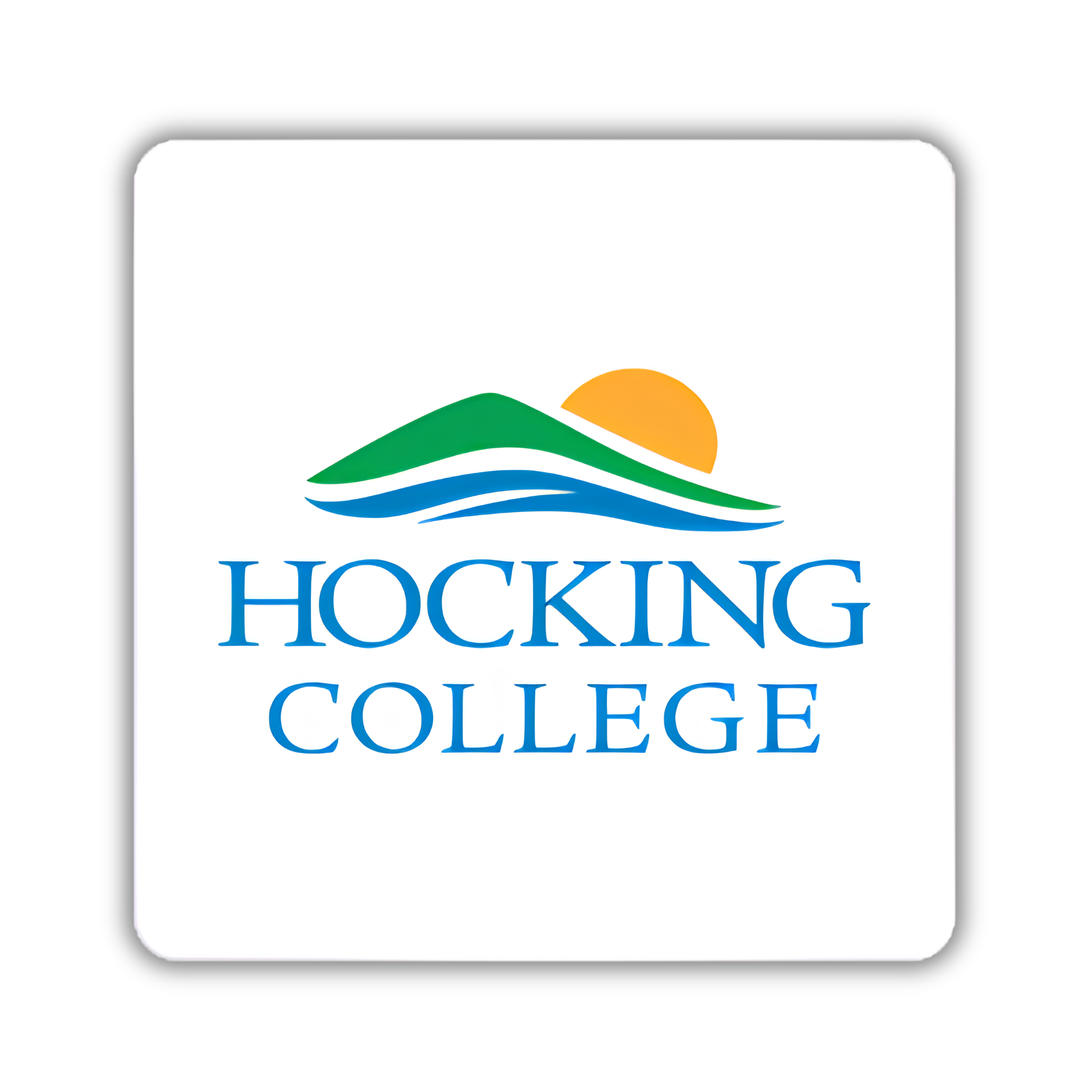 Partner Logo