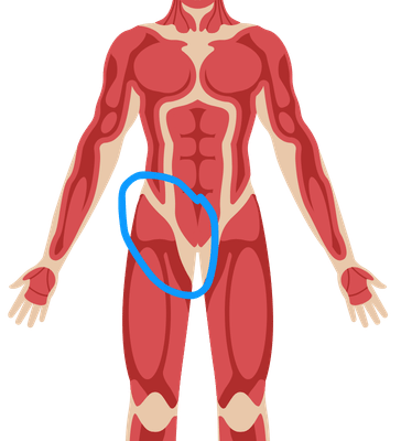 groin pain