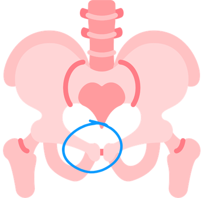 althetic pubalgia