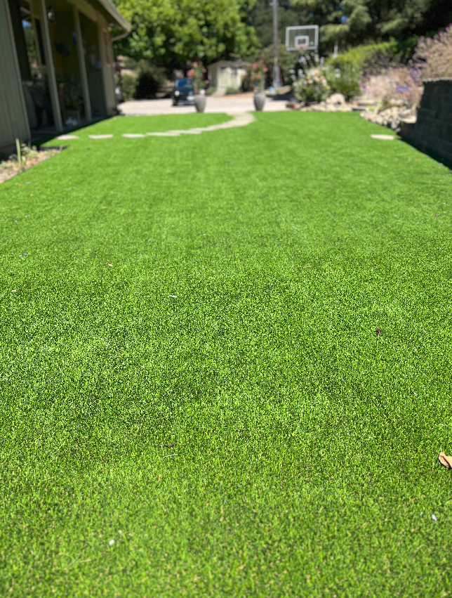 Landscape Design