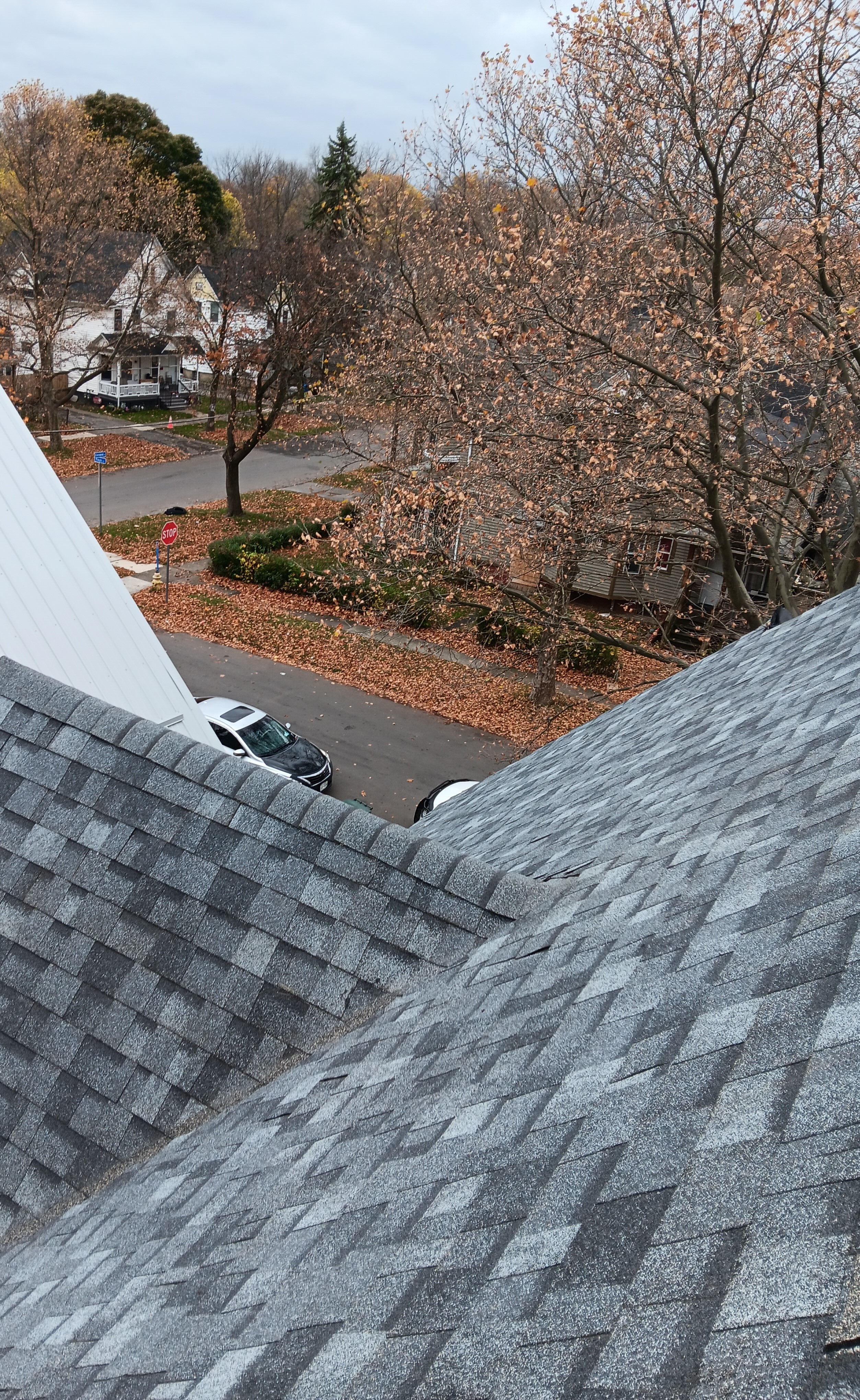 A newly installed asphalt shingle roof on a residential home, showcasing clean lines and quality craftsmanship, with a view of autumn trees and a neighborhood street in the background