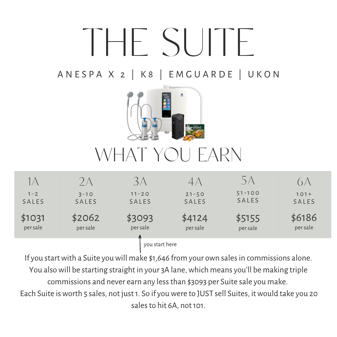 Suite Commission Breakdown