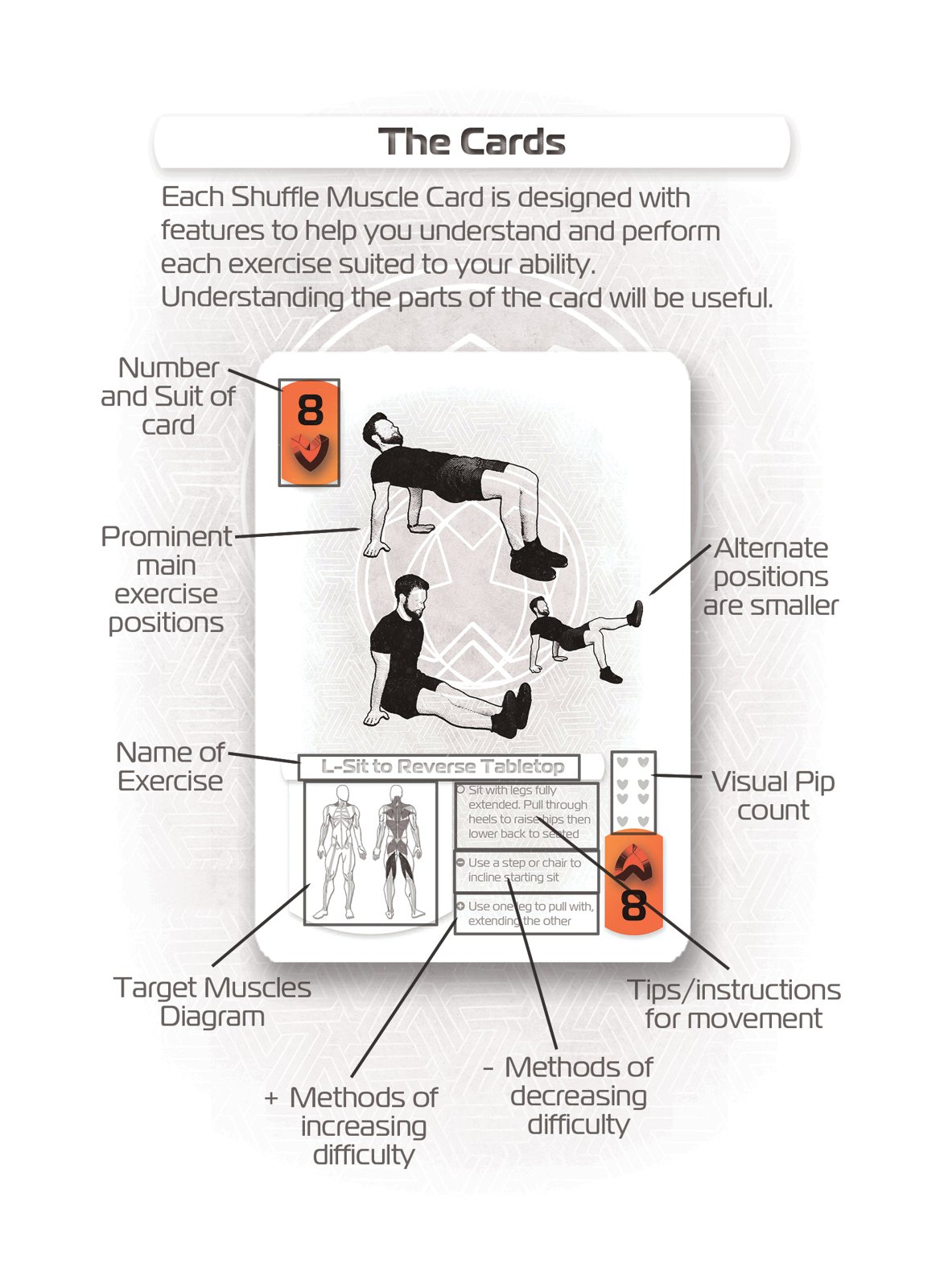 Guide card explaining the parts of a Shuffle Muscle card