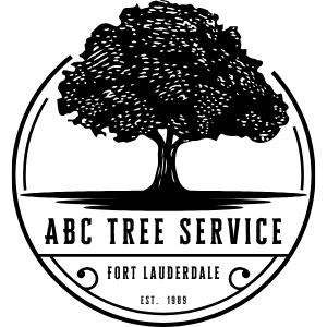 Tree Service Fort Lauderdale