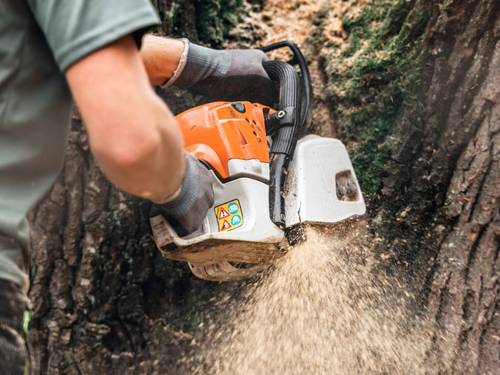 Emergency Tree Service in Fort Lauderdale