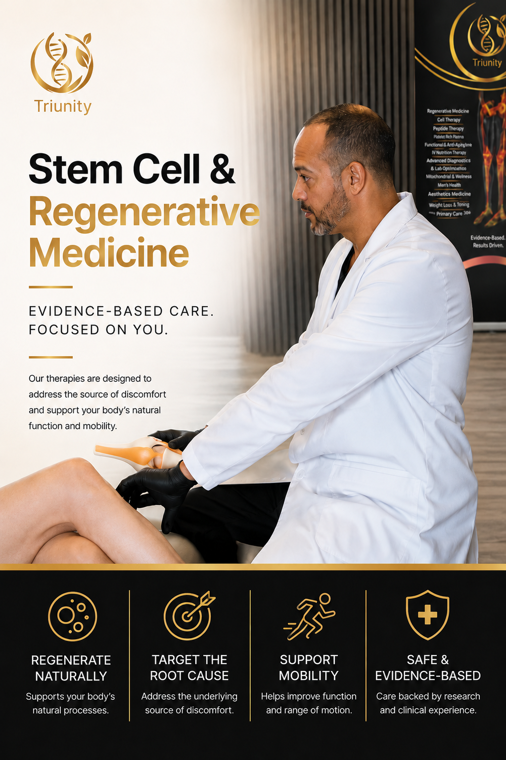 Stem Cell