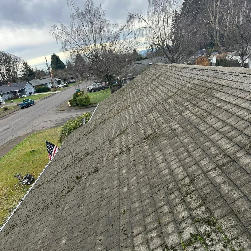 Moss Removal by Over The Top Painting & Remodeling in Independence, OR