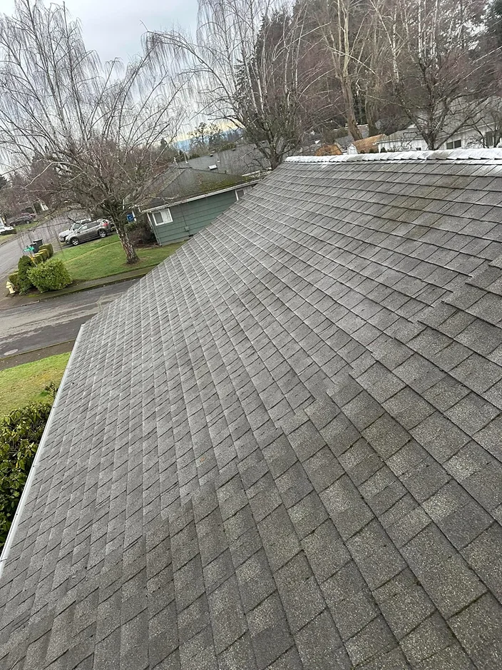 moss removal project photo: 2