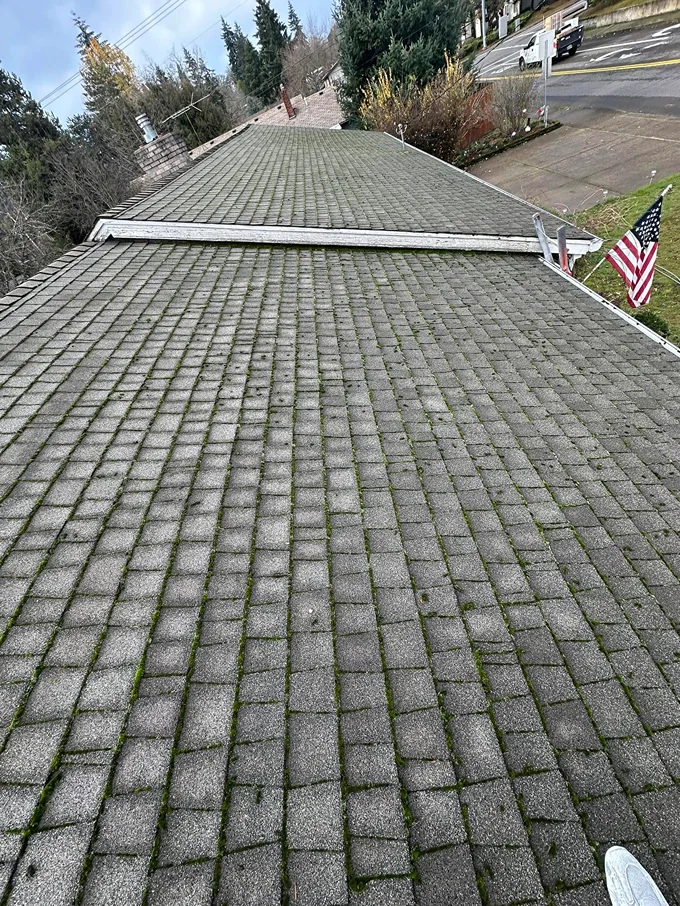 moss removal project photo: 3