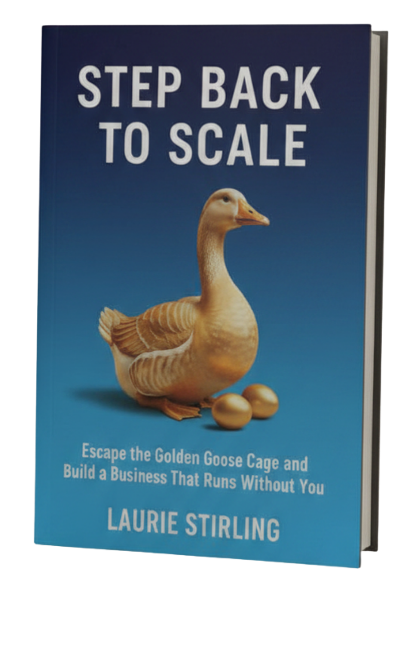 Step Back to Scale book by Laurie Stirling