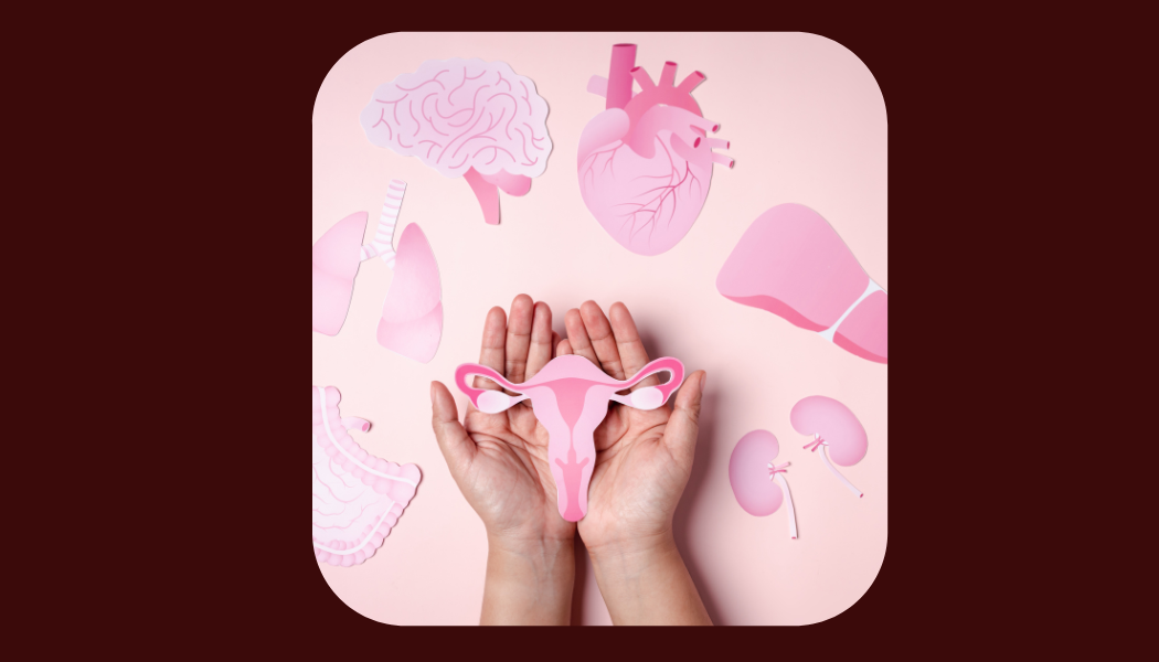 Women's body positivity workshop