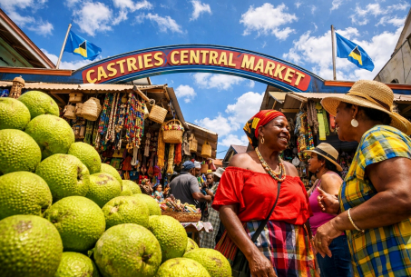 What’s Next in the Series?