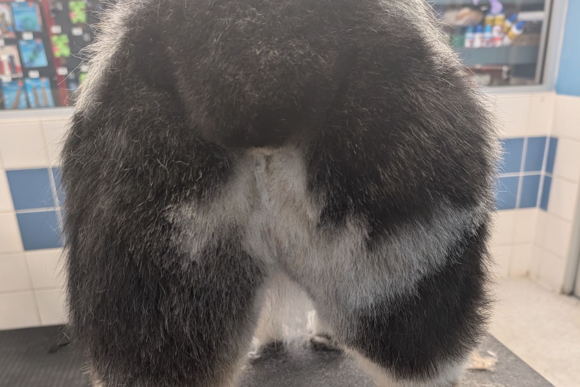 Sanitary Trim in Kennewick