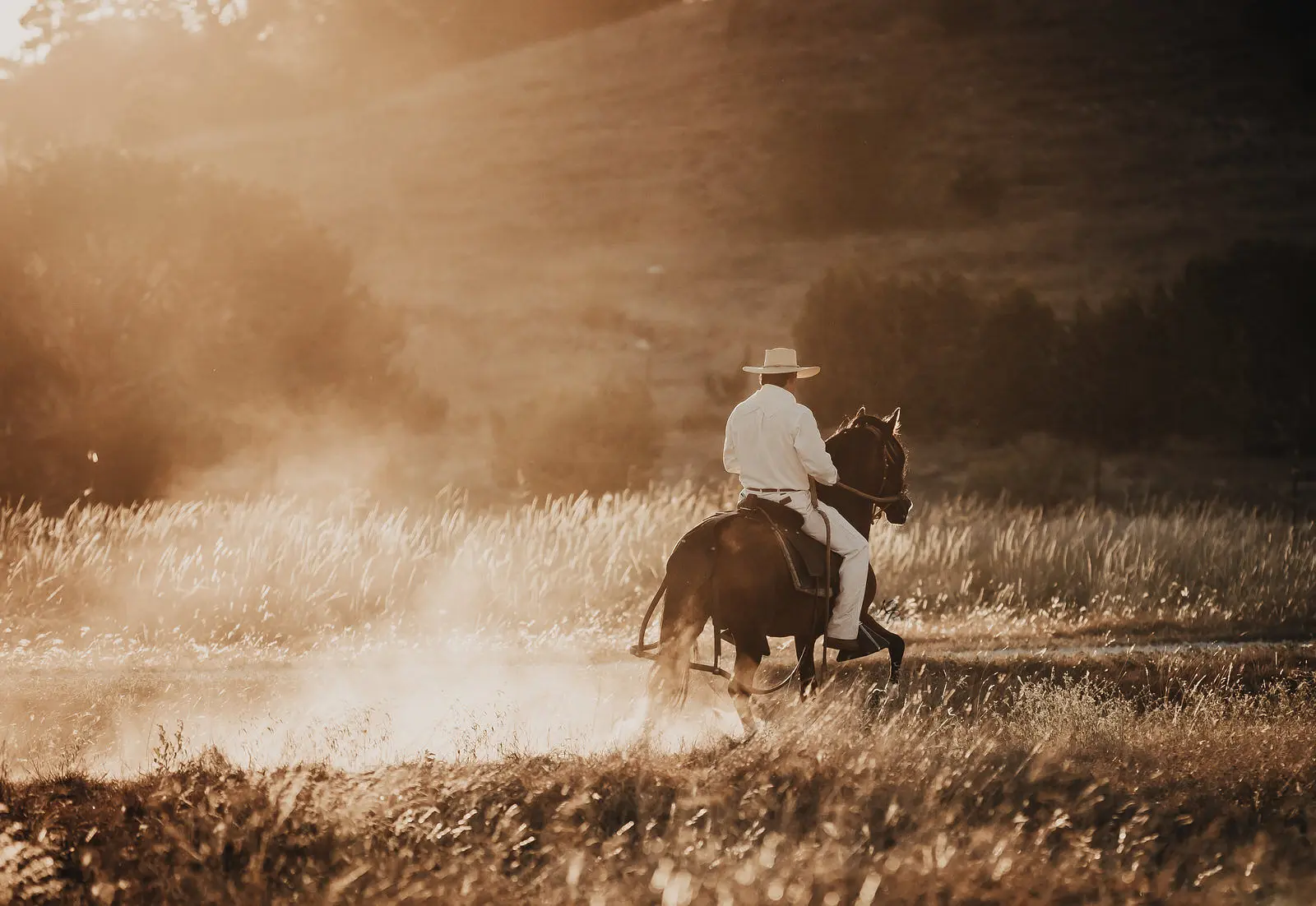 Peruvian Horse and rider at Barcelona R Ranch