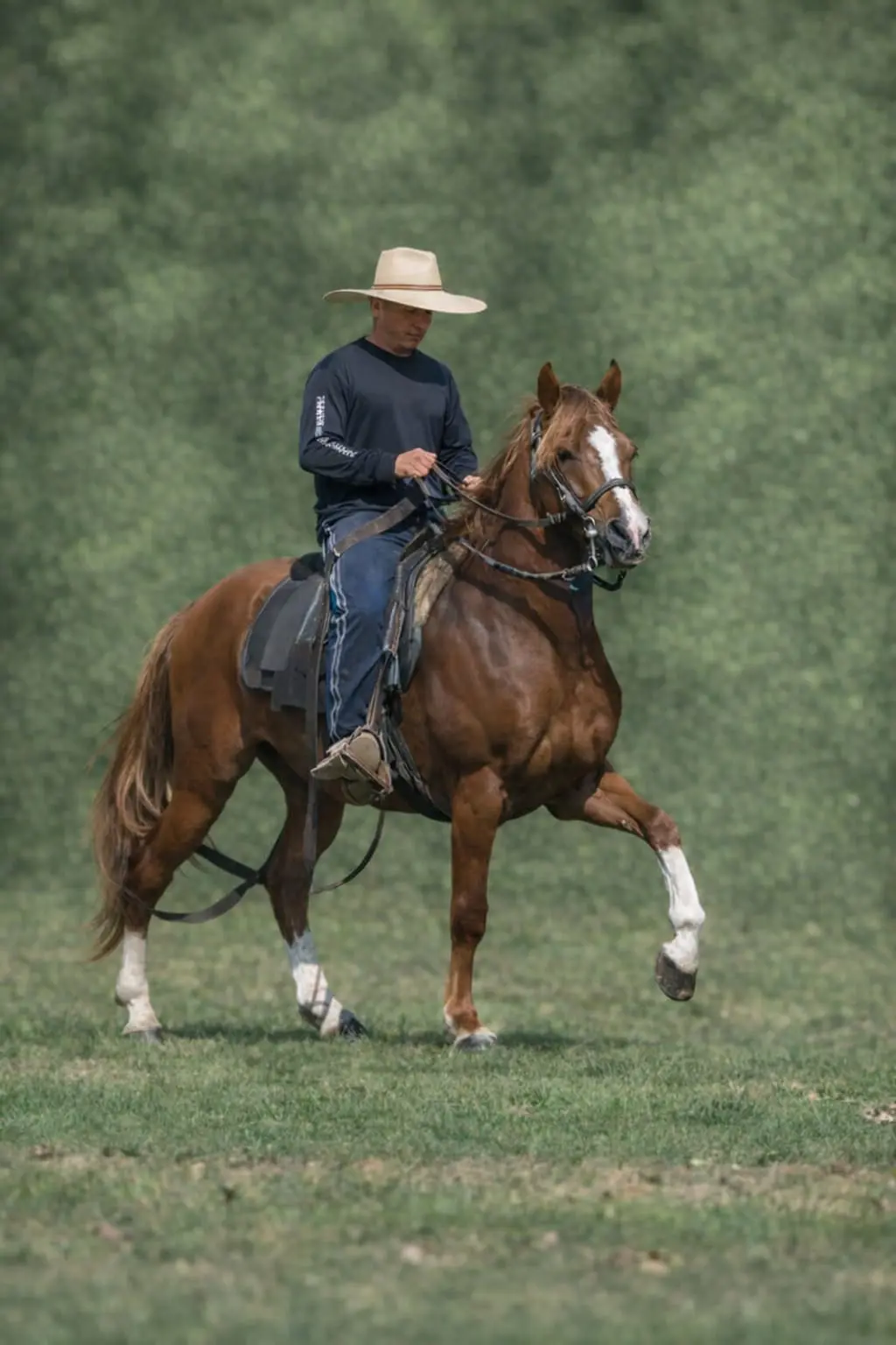 Luis Vigo Saucedo working with B.R. Superior at Barcelona R Ranch in Webster, Florida