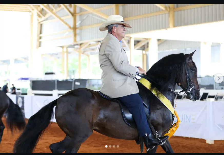 B.R. Preferido representing Barcelona R Ranch in Peruvian Horse competition