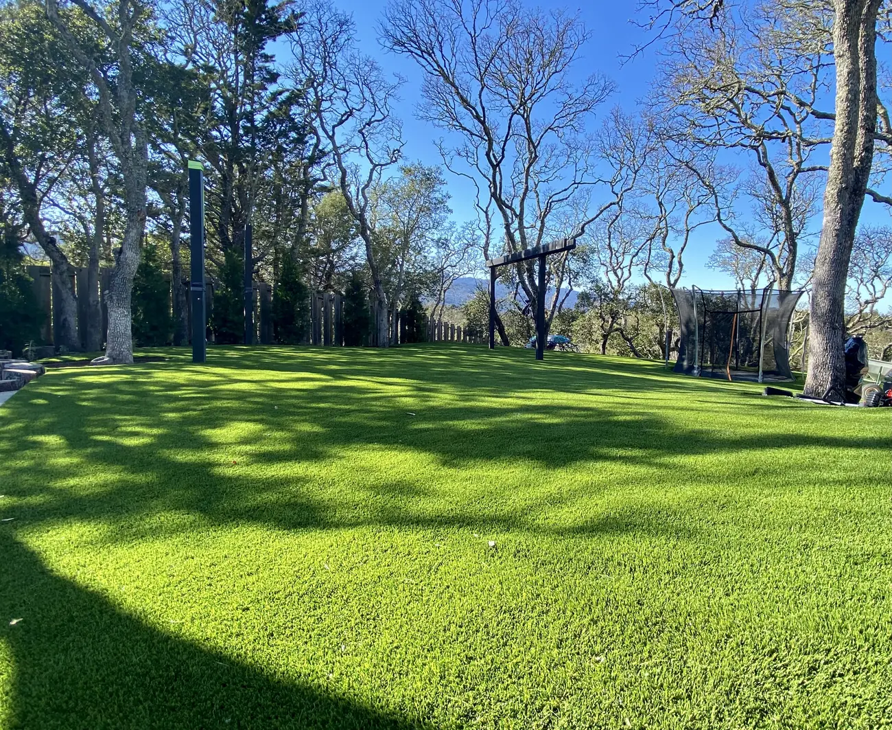 Large artificial-turf lawn installed beneath mature shade trees