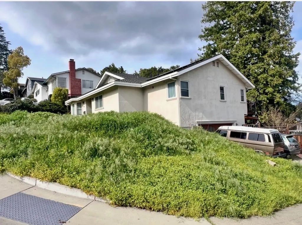 Sloped residential front yard with tall weeds and overgrown vegetation before landscaping