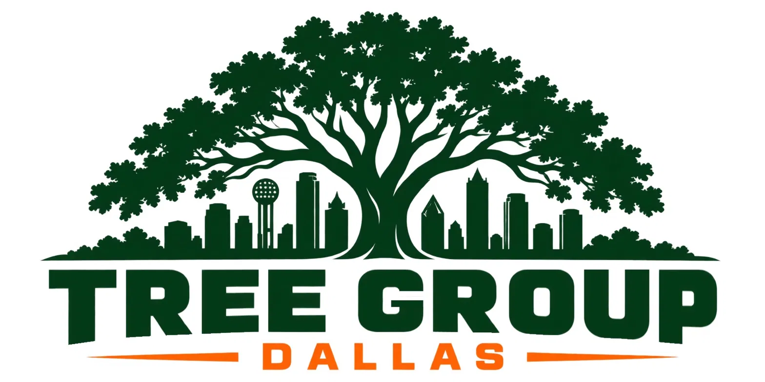 Tree Company Dallas