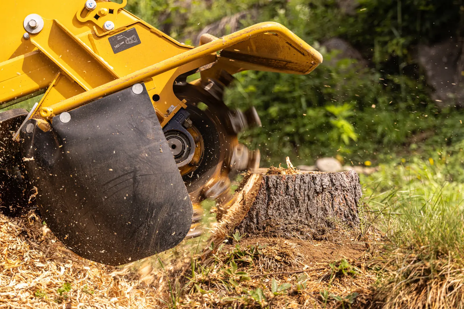 Stump Grinding in the Charlotte area