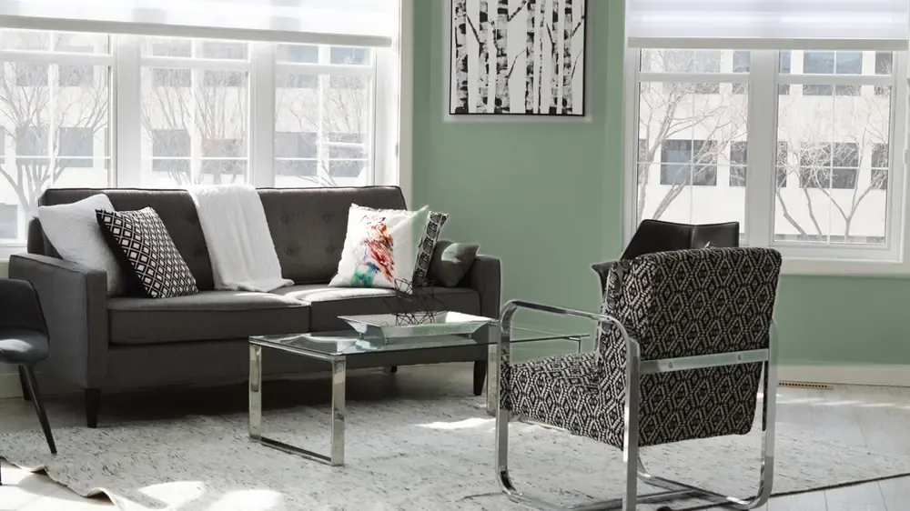 Bright living room with a freshly painted sage green feature wall